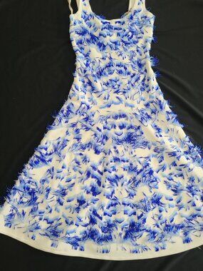 Herve Leger Blue and White Midi Dress.